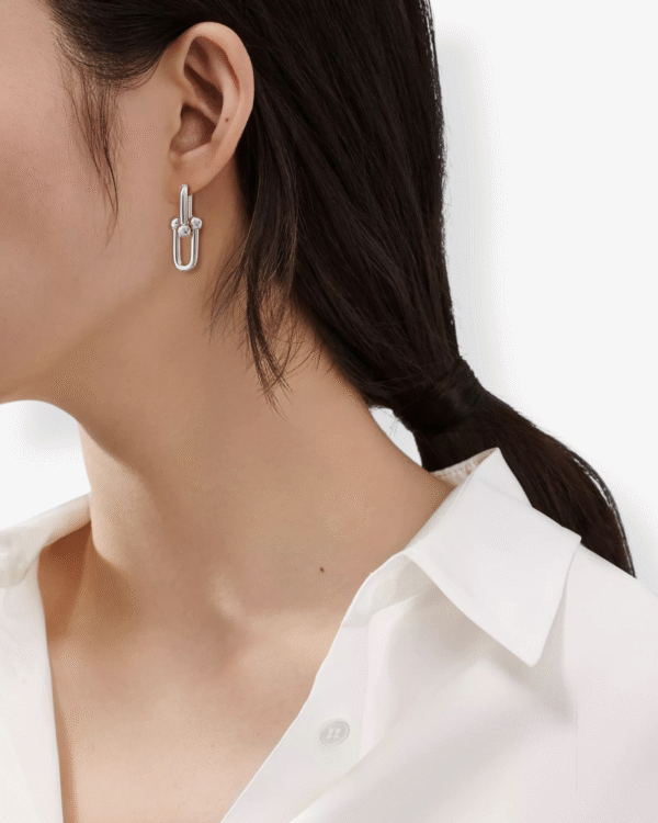 Tiffany & Co. Pendientes HardWear Plateado Mediano