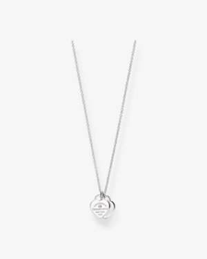 Photoroom_163_20251024_003429 Tiffany & Co. Collar Doble Corazón Plateado