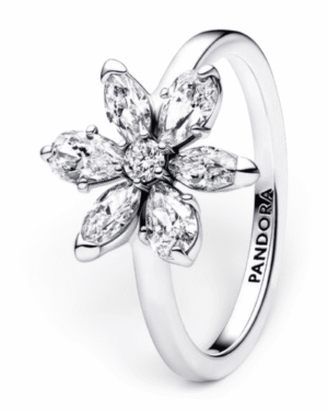 Pandora Anillo Flor Herbario plateado