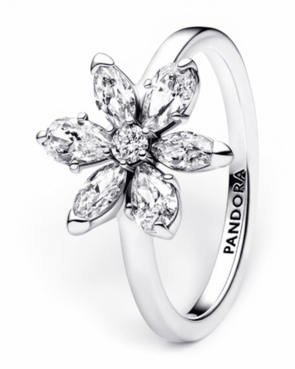 Pandora Anillo Flor Herbario plateado