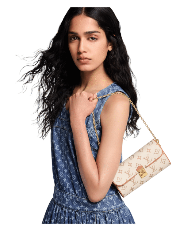 IMG_4861.png Louis Vuitton Bolso Pochette Camille