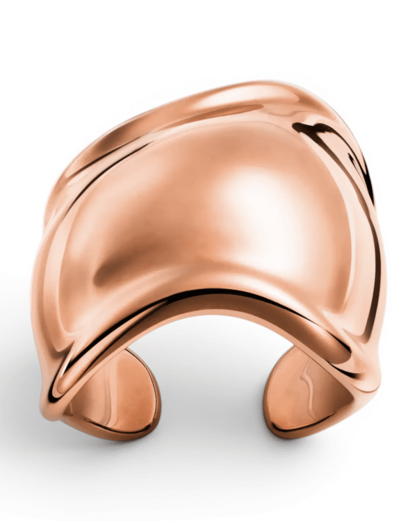 IMG_5287.png Tiffany & Co. Anillo Bone Elsa Peretti