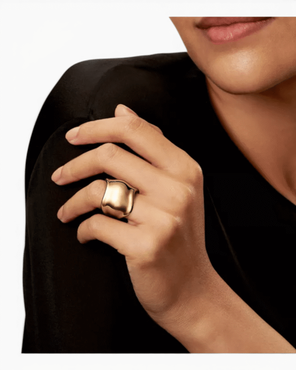 IMG_5289.png Tiffany & Co. Anillo Bone Elsa Peretti