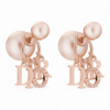 IMG_3413.png Dior Aros Tribales D.I.O.R - vista 4