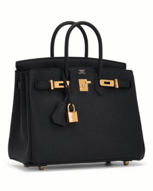 IMG_7147.png Hermès Bolso Icónico Birkin Negro - Santos Vicios