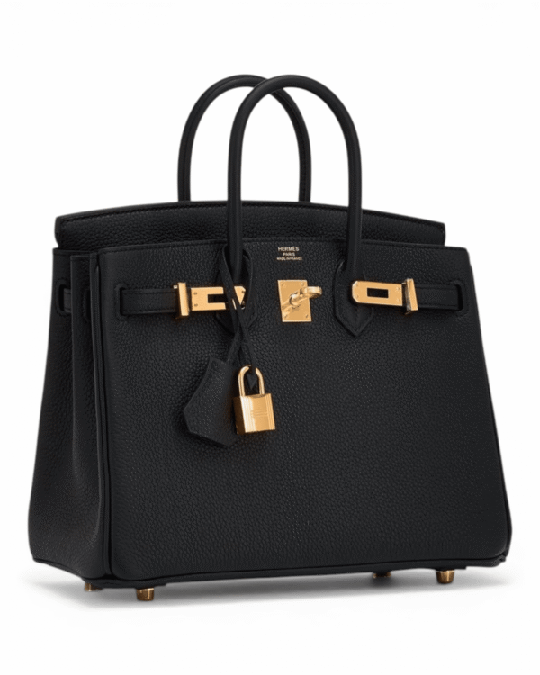 IMG_7147.png Hermès Bolso Icónico Birkin Negro - Santos Vicios