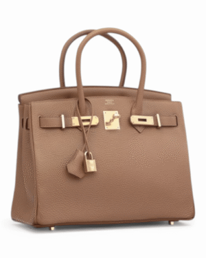IMG_7154.png Comprar Hermès Bolso Icónico Birkin Chai en Chile