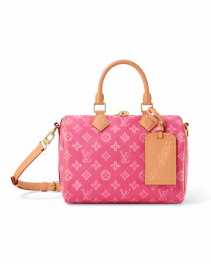 IMG_7250.png Louis Vuitton Bolso Speedy 25 Fucsia | envío gratis a todo Chile