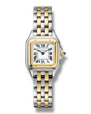 Photoroom_005_20250926_025753.png Foto del producto Cartier Reloj Panthére