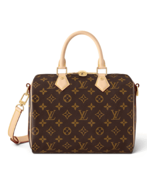 Louis Vuitton Bolso Speedy Monogram