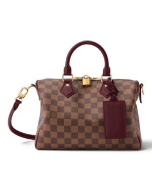 Louis Vuitton Bolso Speedy Soft 25 Low Key Damier Ebene
