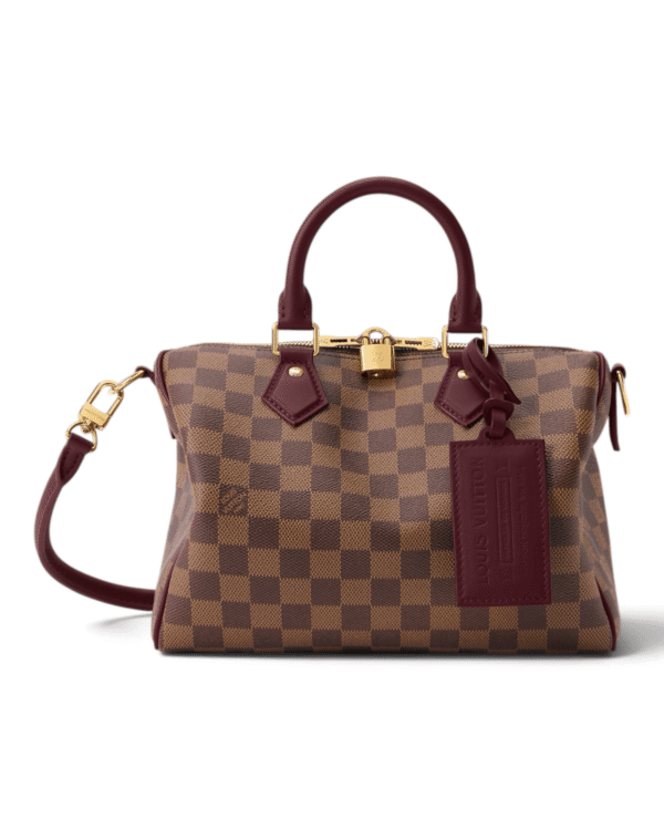 Louis Vuitton Bolso Speedy Soft 25 Low Key Damier Ebene