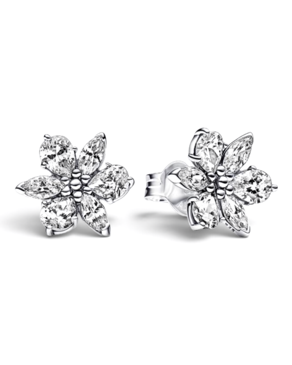 Pandora Aros Herbario Flor Plateados Pandora Aros Herbario Flor Plateados | envío gratis a todo Chile
